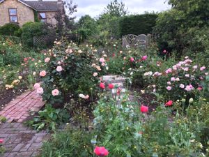 Rose Garden- click for photo gallery
